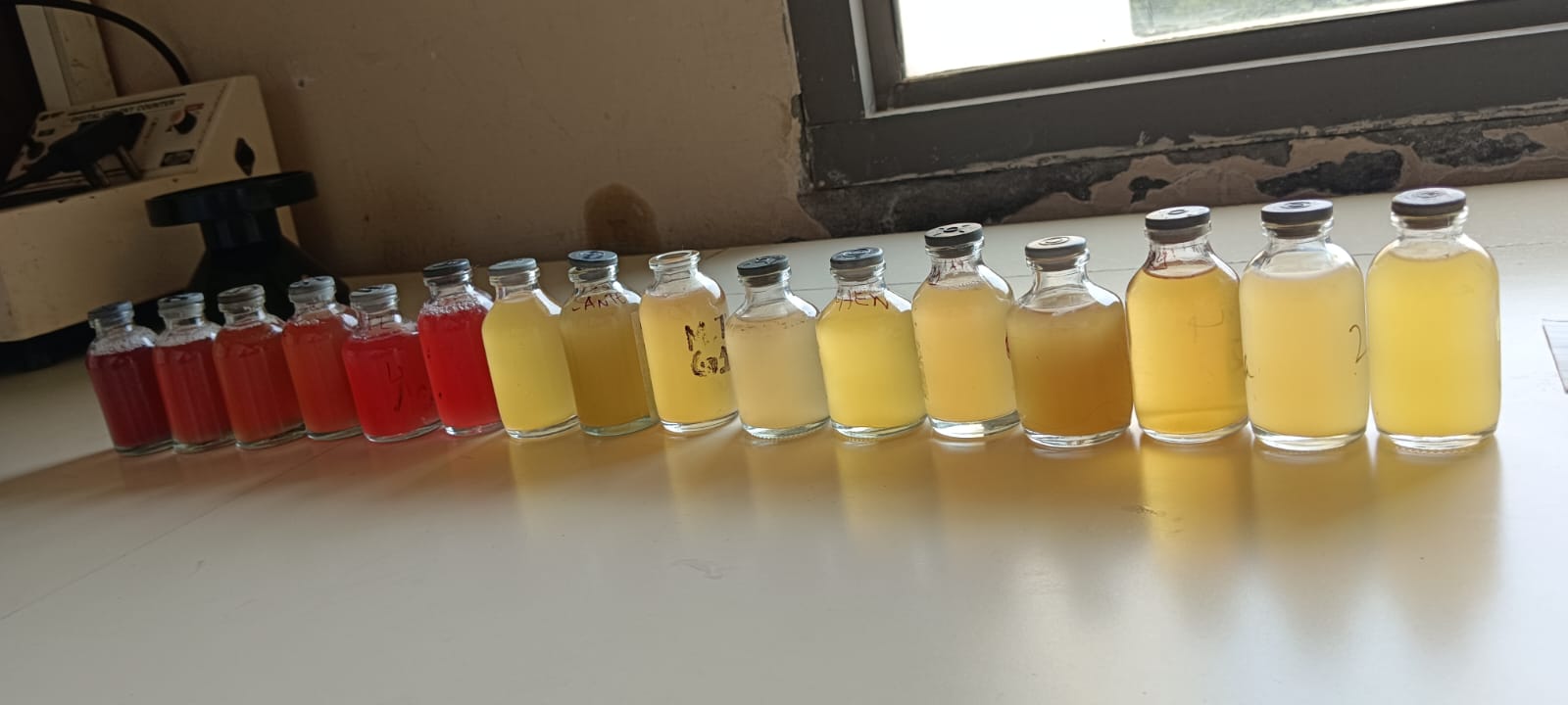 Water Quality Assessment